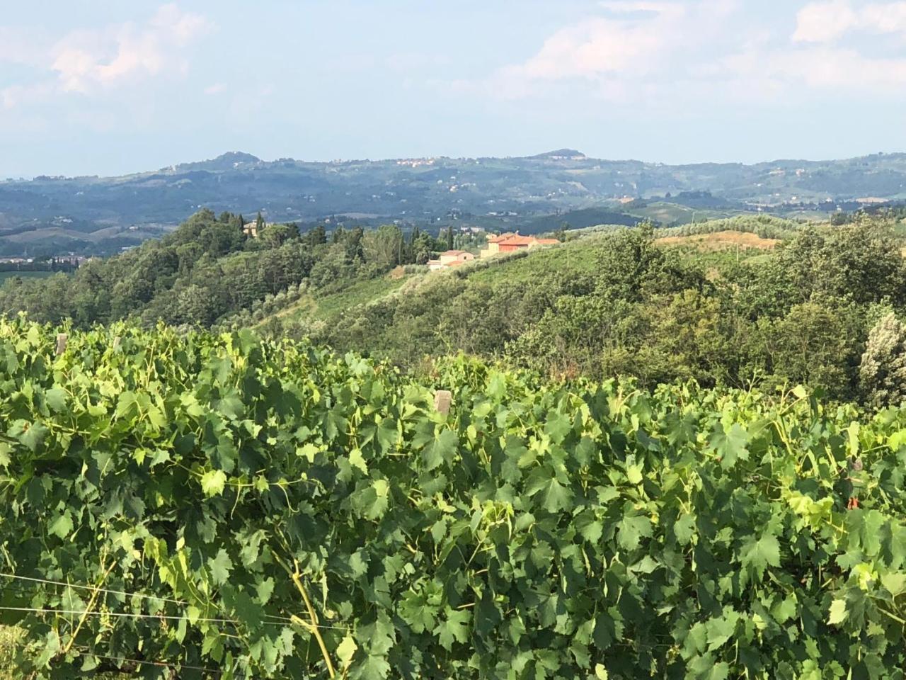 Agriturismo L'Olmo San Gimignano Esterno foto