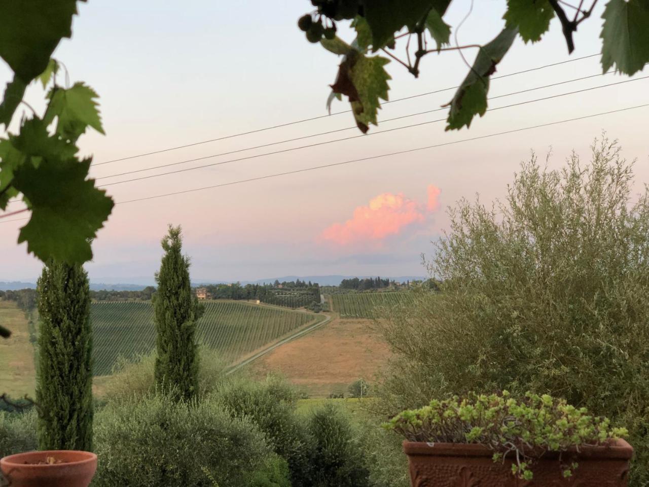 Agriturismo L'Olmo San Gimignano Esterno foto