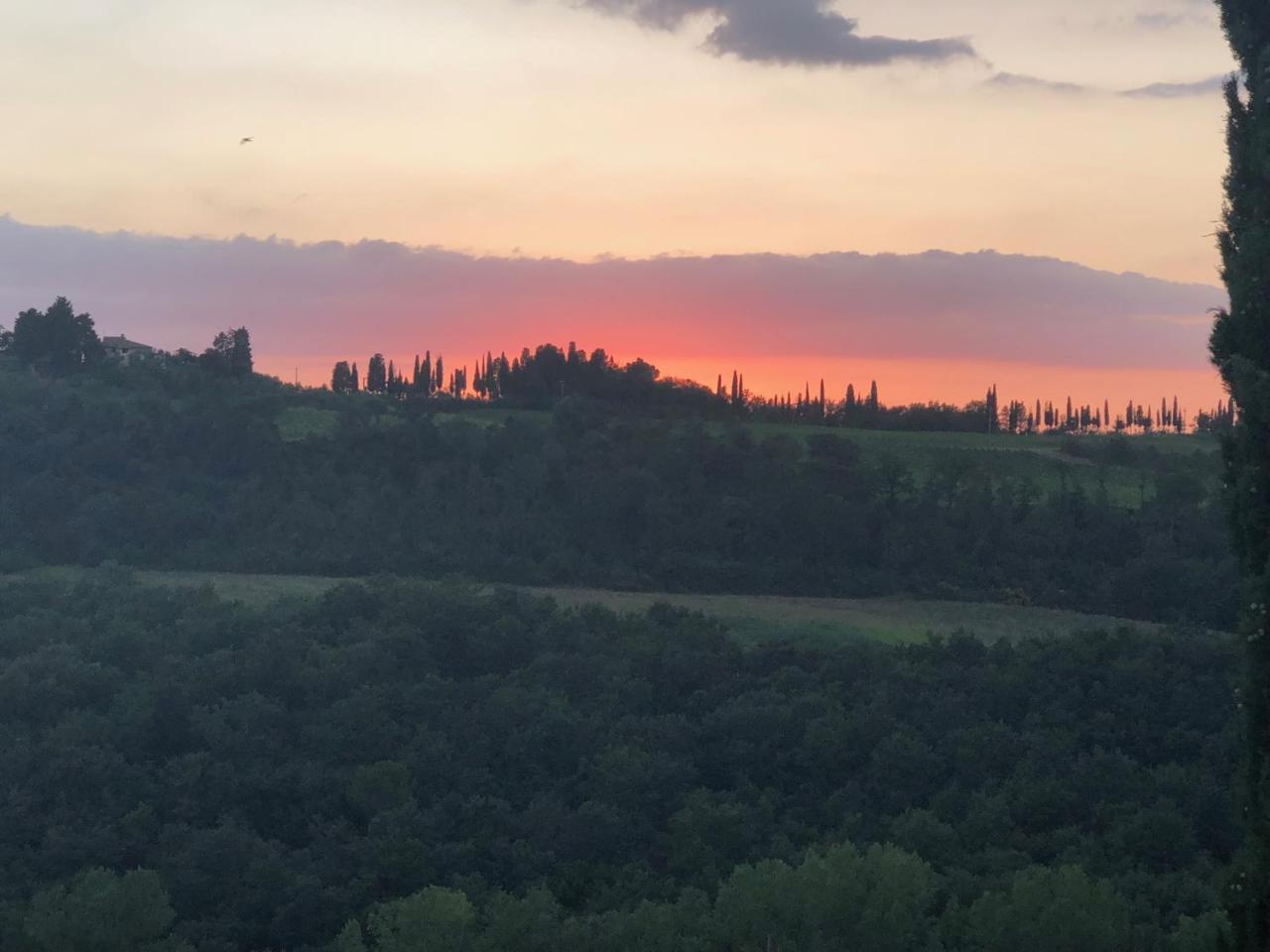 Agriturismo L'Olmo San Gimignano Esterno foto