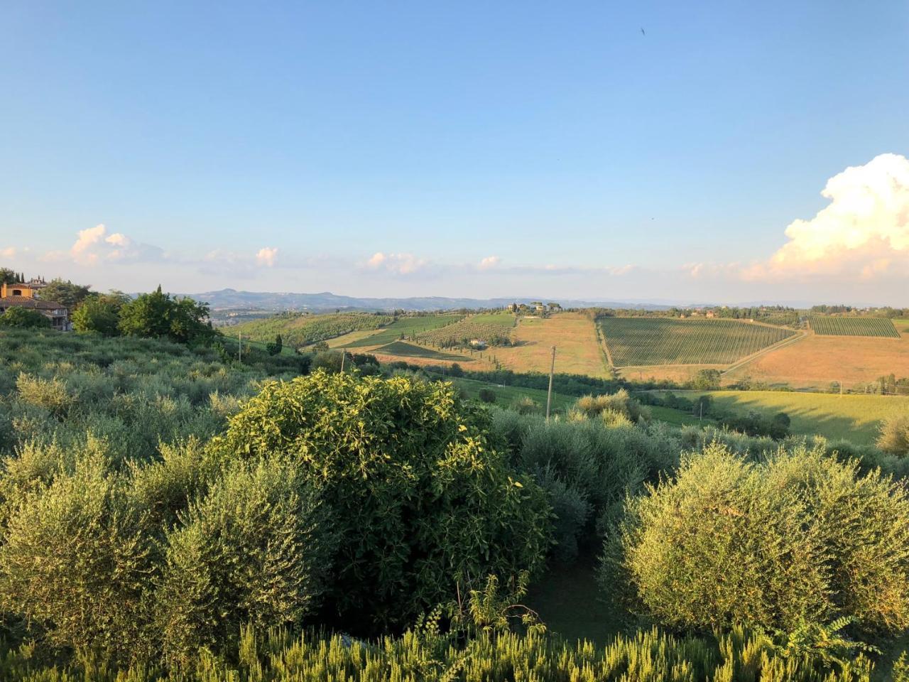 Agriturismo L'Olmo San Gimignano Esterno foto